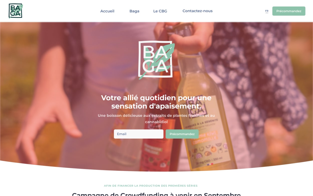 Baga aperçu site ordinateur